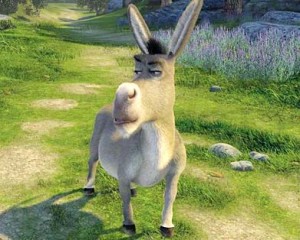 burro-shrek2